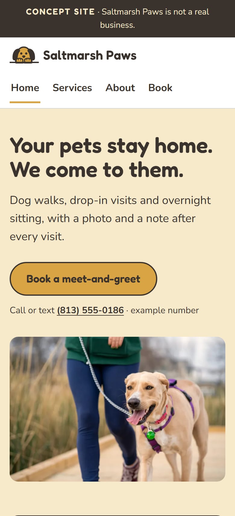 The Saltmarsh Paws home page on a phone: the headline "Your pets stay home. We come to them," a meet-and-greet button and a photo of a dog.