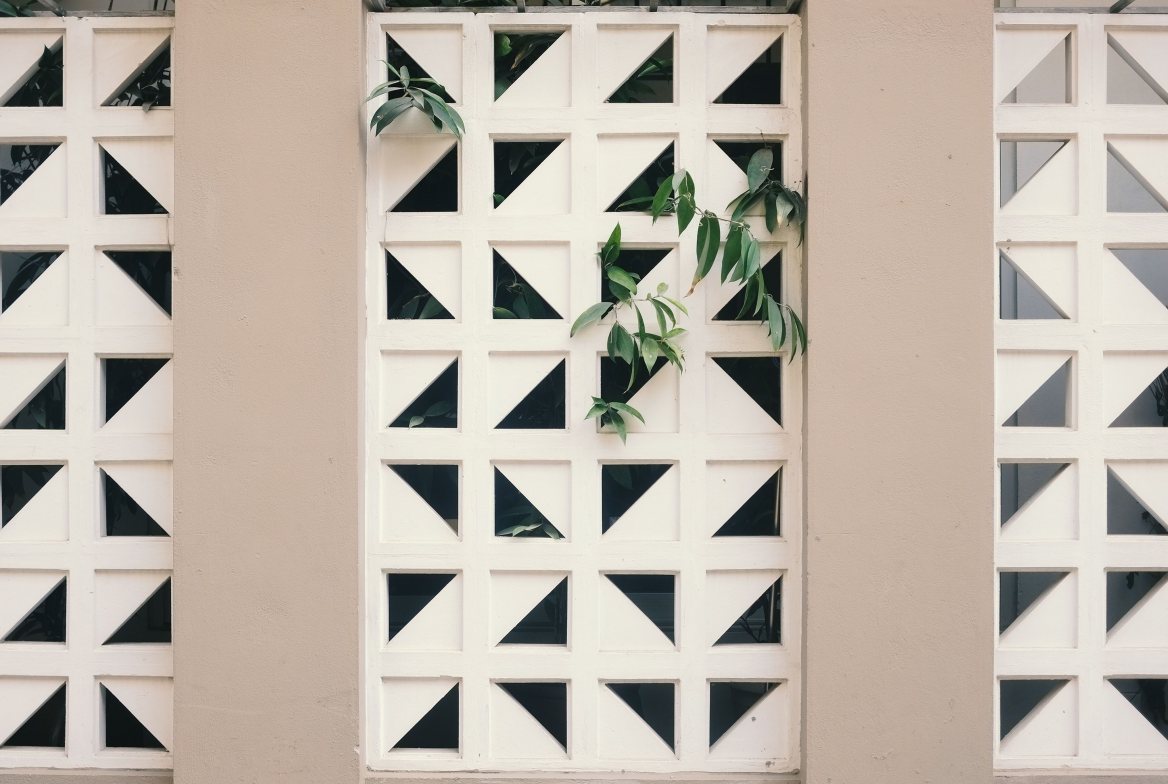A white breeze-block wall with a climbing vine