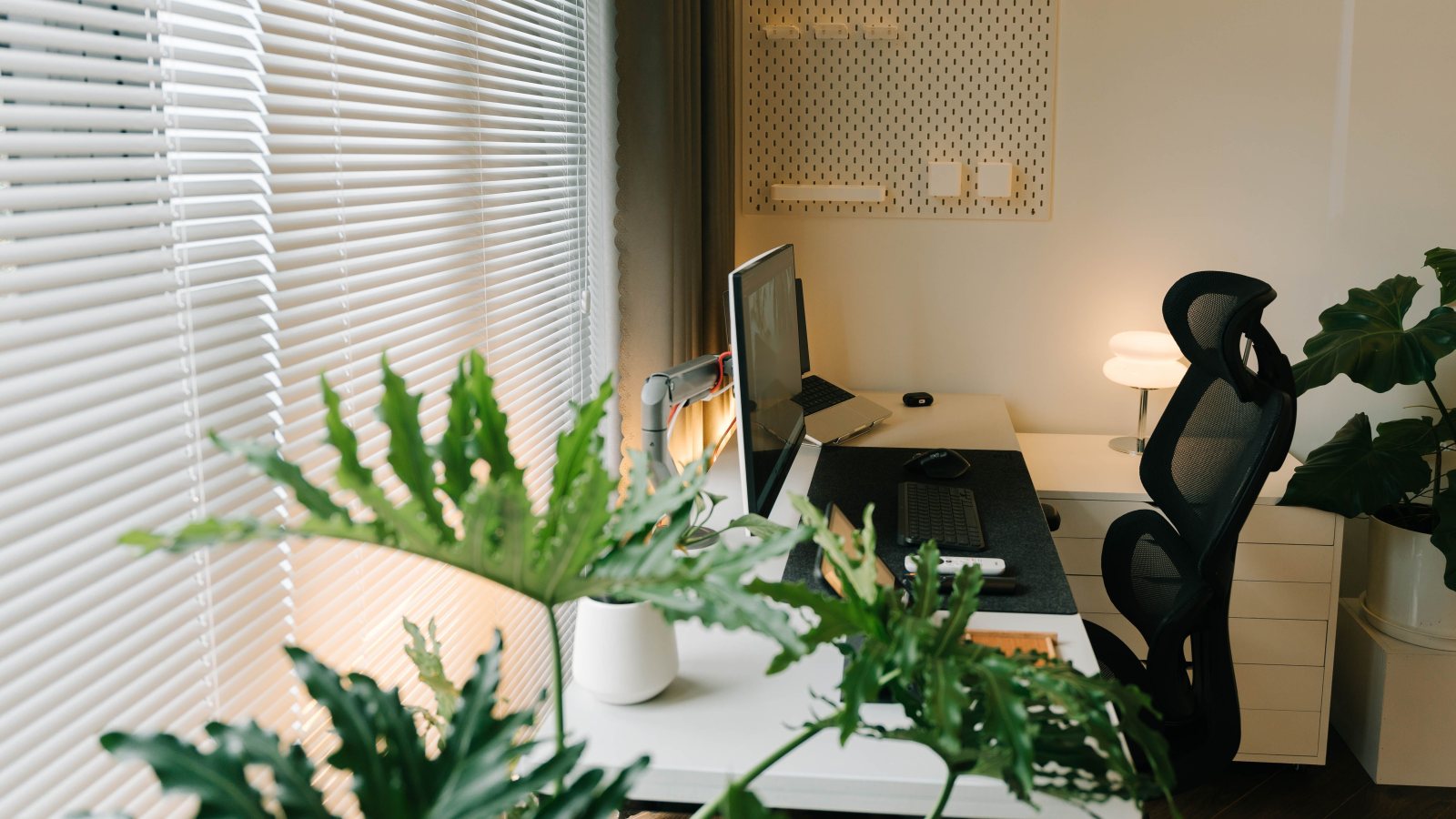 A desk by sunlit blinds with large leafy plants
