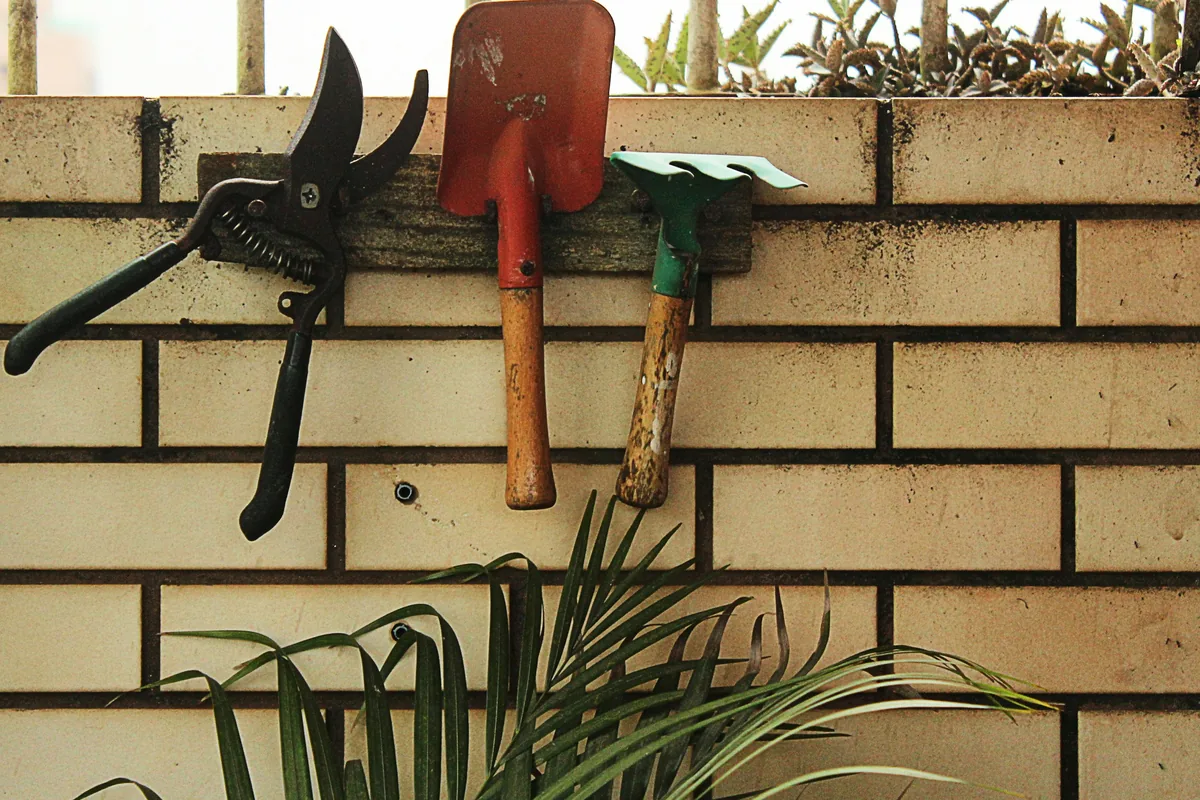 Pruning shears, a hand spade and a hand rake hung on a block wall above a potted palm.