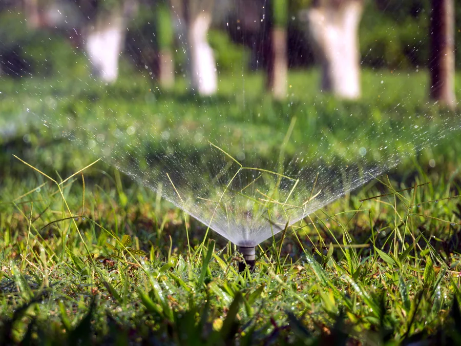 A pop-up sprinkler head running, water catching the light