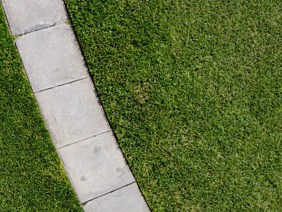 A clean mowing edge running along a concrete driveway
