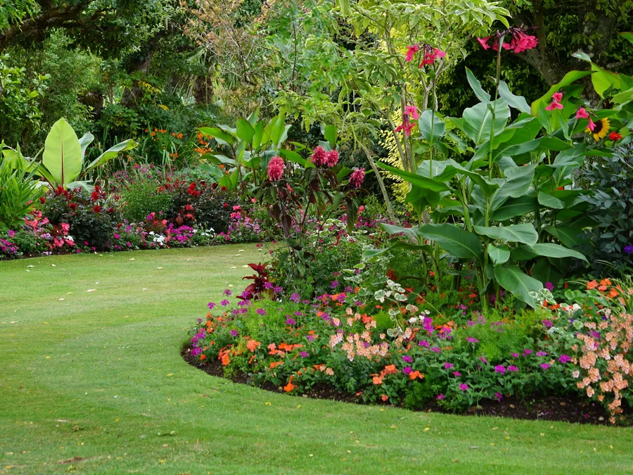 Fresh-cut turf meeting a trimmed flower bed
