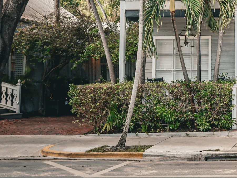 A palm-lined residential street on a sunny day