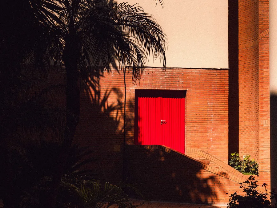 A red door in a brick wall, with palm shadows in late sun