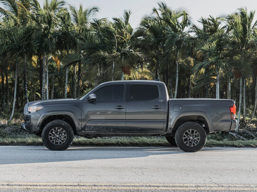 Gray pickup truck, clean and glossy, parked under palm trees