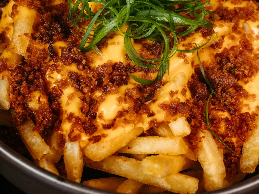 Fries covered in melted cheese, bacon crumbles and green onion