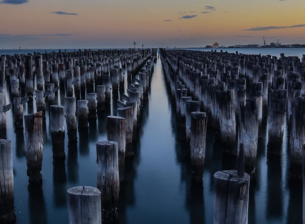 Rows of old wooden pilings standing in calm water at dusk